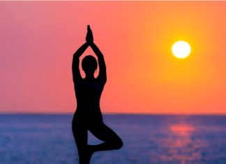 योग के 5 स्तम्भ girl doing surya namaskar