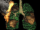 अमेज़न की आग में सब राख lungs of earth- forest